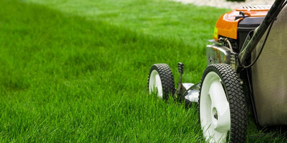 Keylo University - Edmonton Home Maintenance - Care for your lawn